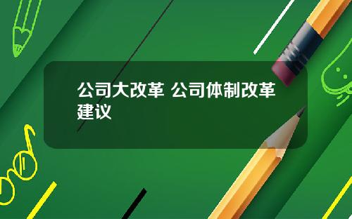 公司大改革 公司体制改革建议