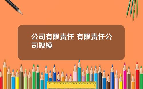公司有限责任 有限责任公司规模