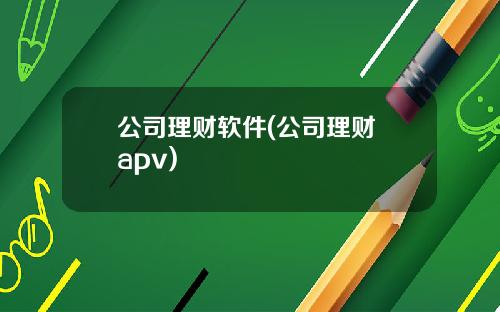 公司理财软件(公司理财 apv)
