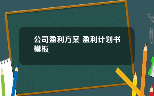 公司盈利方案 盈利计划书模板