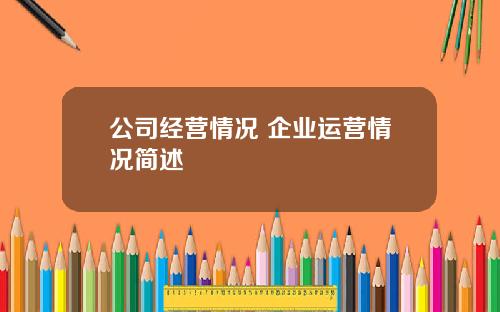 公司经营情况 企业运营情况简述
