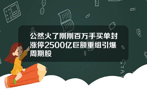 公然火了刚刚百万手买单封涨停2500亿巨额重组引爆周期股