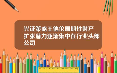兴证策略王德伦周期性财产扩张潜力逐渐集中在行业头部公司