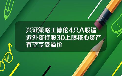兴证策略王德伦4只A股逼近外资持股30上限核心资产有望享受溢价