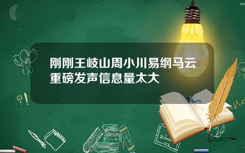 刚刚王岐山周小川易纲马云重磅发声信息量太大