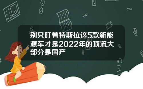 别只盯着特斯拉这5款新能源车才是2022年的顶流大部分是国产