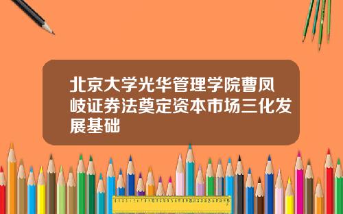 北京大学光华管理学院曹凤岐证券法奠定资本市场三化发展基础