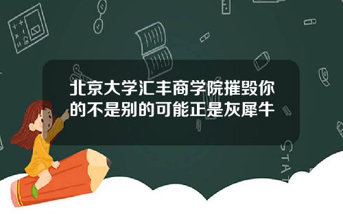 北京大学汇丰商学院摧毁你的不是别的可能正是灰犀牛
