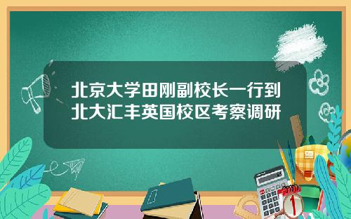 北京大学田刚副校长一行到北大汇丰英国校区考察调研