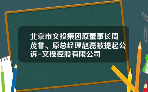 北京市文投集团原董事长周茂非、原总经理赵磊被提起公诉-文投控股有限公司