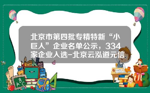 北京市第四批专精特新“小巨人”企业名单公示，334家企业入选-北京云泓道元信息技术有限公司