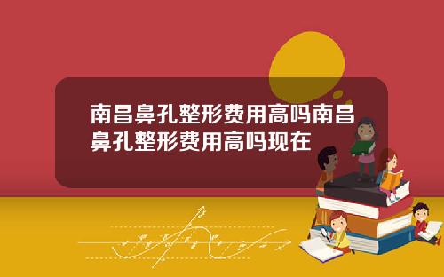 南昌鼻孔整形费用高吗南昌鼻孔整形费用高吗现在