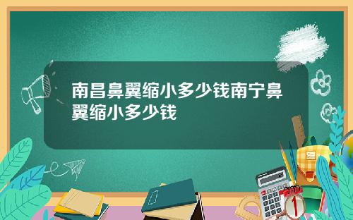 南昌鼻翼缩小多少钱南宁鼻翼缩小多少钱