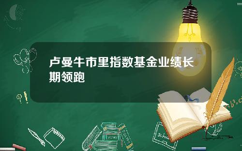 卢曼牛市里指数基金业绩长期领跑
