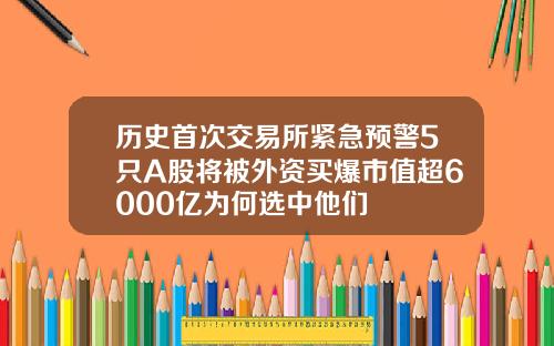 历史首次交易所紧急预警5只A股将被外资买爆市值超6000亿为何选中他们