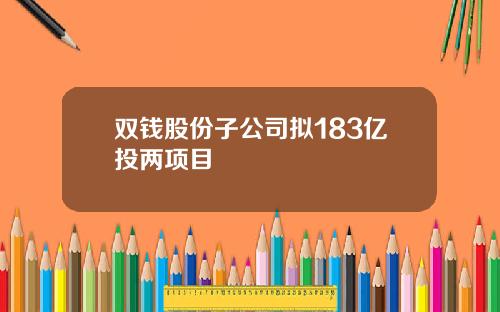 双钱股份子公司拟183亿投两项目
