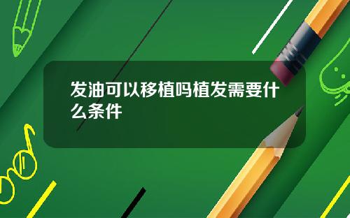 发油可以移植吗植发需要什么条件
