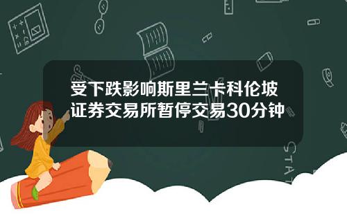 受下跌影响斯里兰卡科伦坡证券交易所暂停交易30分钟