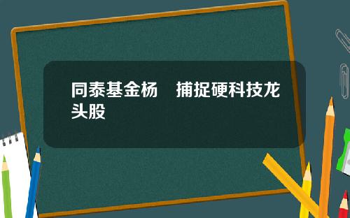 同泰基金杨喆捕捉硬科技龙头股
