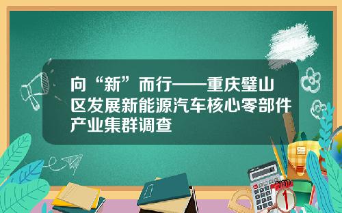 向“新”而行——重庆璧山区发展新能源汽车核心零部件产业集群调查