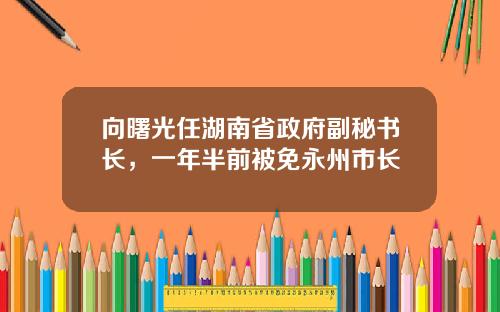 向曙光任湖南省政府副秘书长，一年半前被免永州市长