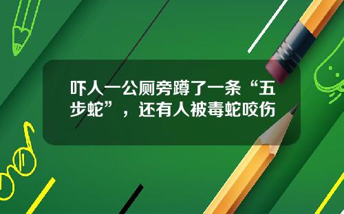 吓人一公厕旁蹲了一条“五步蛇”，还有人被毒蛇咬伤