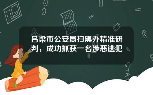 吕梁市公安局扫黑办精准研判，成功抓获一名涉恶逃犯
