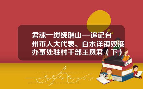君魂一缕绕琳山--追记台州市人大代表、白水洋镇双港办事处驻村干部王凤君（下）