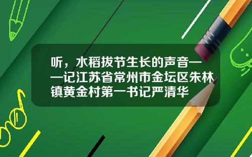 听，水稻拔节生长的声音——记江苏省常州市金坛区朱林镇黄金村第一书记严清华