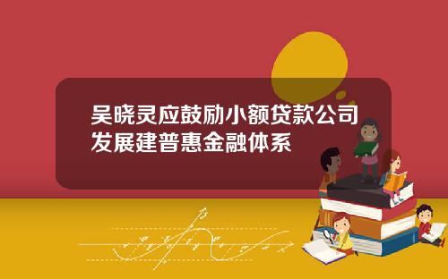 吴晓灵应鼓励小额贷款公司发展建普惠金融体系