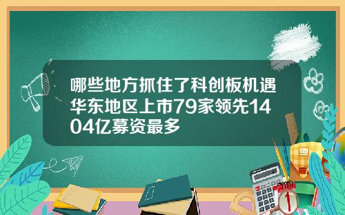 哪些地方抓住了科创板机遇华东地区上市79家领先1404亿募资最多