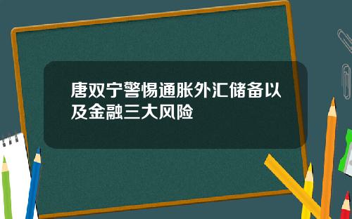唐双宁警惕通胀外汇储备以及金融三大风险