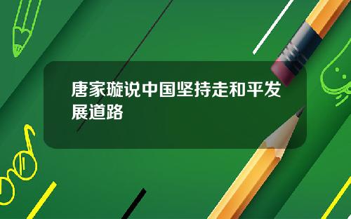 唐家璇说中国坚持走和平发展道路