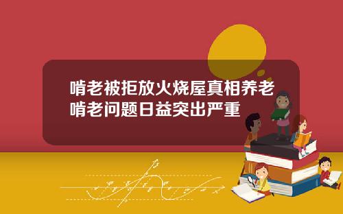 啃老被拒放火烧屋真相养老啃老问题日益突出严重