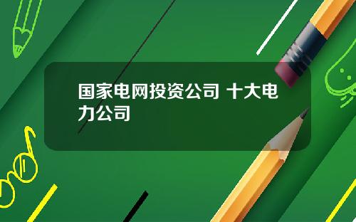 国家电网投资公司 十大电力公司