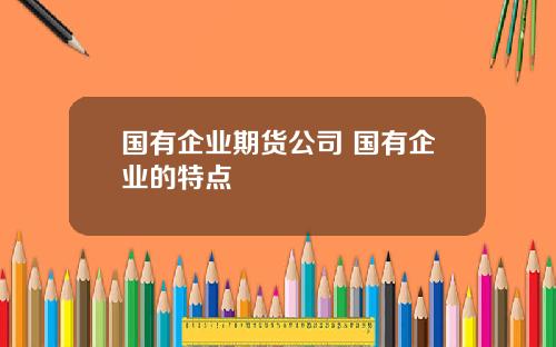 国有企业期货公司 国有企业的特点