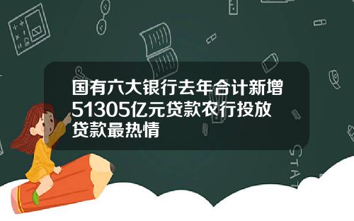 国有六大银行去年合计新增51305亿元贷款农行投放贷款最热情