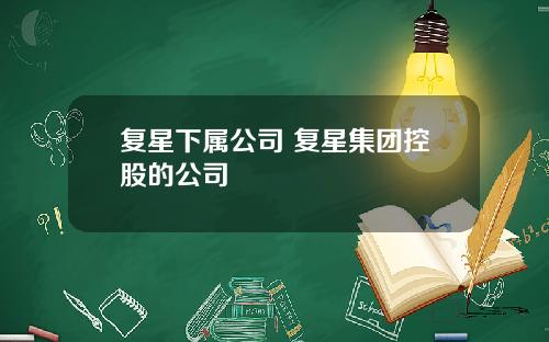复星下属公司 复星集团控股的公司
