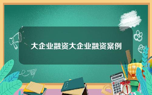 大企业融资大企业融资案例