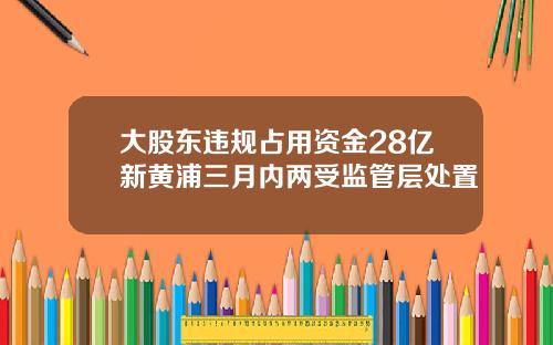 大股东违规占用资金28亿新黄浦三月内两受监管层处置