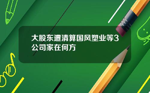 大股东遭清算国风塑业等3公司家在何方