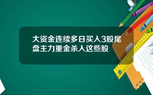 大资金连续多日买入3股尾盘主力重金杀入这些股