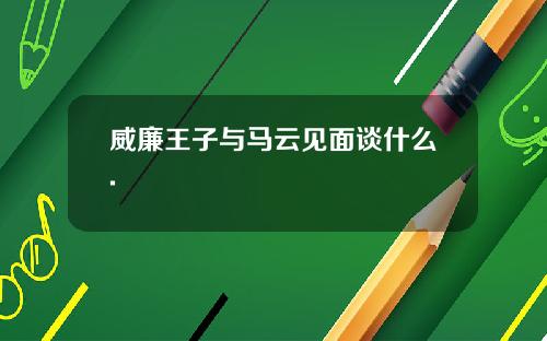 威廉王子与马云见面谈什么.