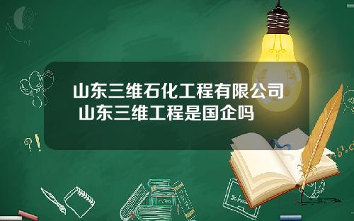 山东三维石化工程有限公司 山东三维工程是国企吗