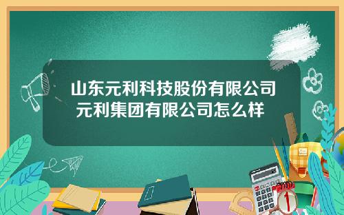 山东元利科技股份有限公司 元利集团有限公司怎么样