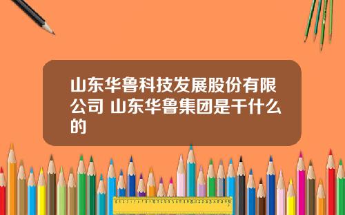 山东华鲁科技发展股份有限公司 山东华鲁集团是干什么的