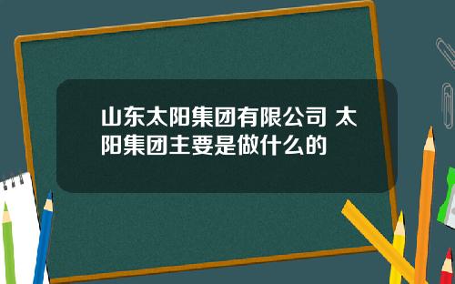 山东太阳集团有限公司 太阳集团主要是做什么的