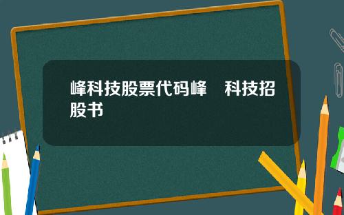 峰科技股票代码峰岹科技招股书