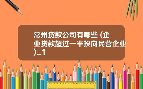 常州贷款公司有哪些 (企业贷款超过一半投向民营企业)_1