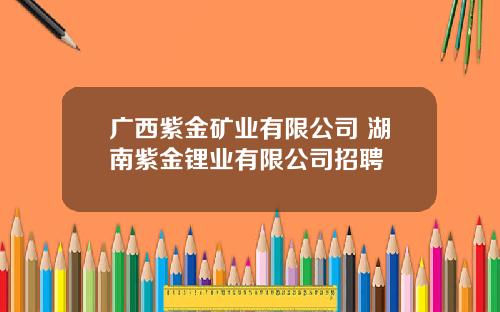 广西紫金矿业有限公司 湖南紫金锂业有限公司招聘
